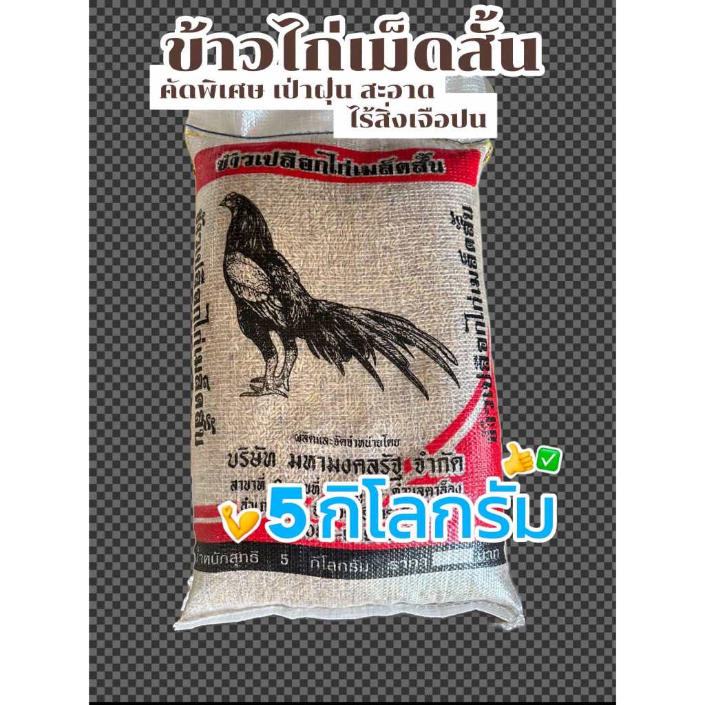 ข้าวเปลือกไก่เมล็ดสั้น ข้าวเปลือก ข้าวไก่ ข้าวไก่เม็ดสั้น คัดพิเศษ เป่าฝุ่น เรียบร้อยแล้ว ขนาดบรรจุ 5 กิโลกรัม