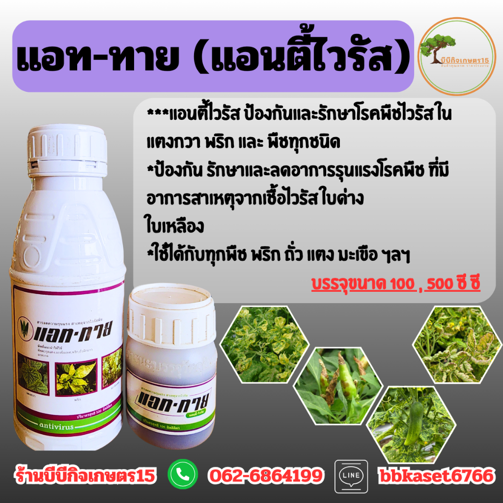 แอททาย 500 ซีซี ป้องกันรักษาและลดอาการรุนแรงโรคพืช ที่มีอาการสาเหตุจากเชื้อไวรัส ใบด่าง ใบเหลือง ฯลฯ