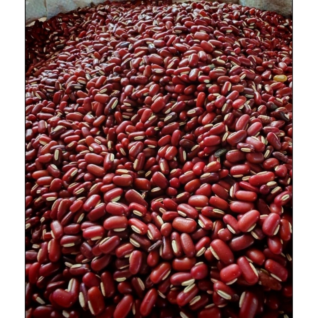 ถั่วแดงเม็ดเล็ก 1กิโล ปลอดสาร  ปลูกได้  ทานได้มีประโยชน์เยอะ ( ถั่วแป๋)