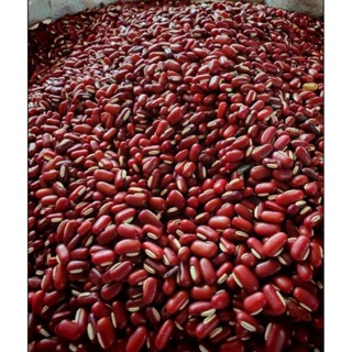 ถั่วแดงเม็ดเล็ก 1กิโล ปลอดสาร  ปลูกได้  ทานได้มีประโยชน์เยอะ…