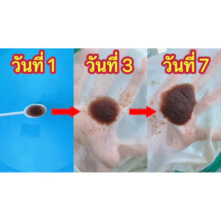 อาหารไรแดงน้ำใส สูตรT10 (เก่าบิน) บูมx3 แบบเข้มข้น ขนาด 250 ml.