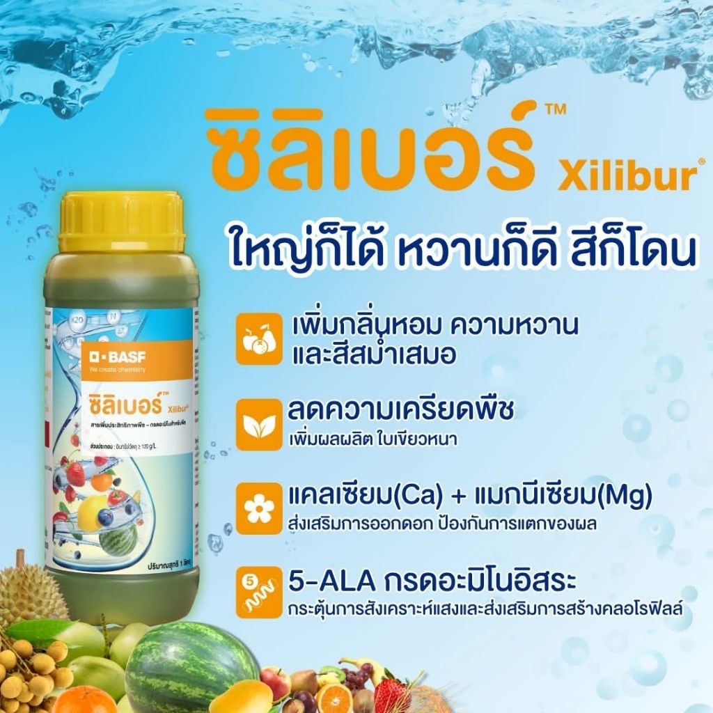 ซิลิเบอร์ (เหมือนกับ อีสไบออน แอมบิชั่น ) 1 ขวดใช้ได้ 20 ไร่ กรดอะมิโนและเปบไทด์+ธาติอาหารเสริม