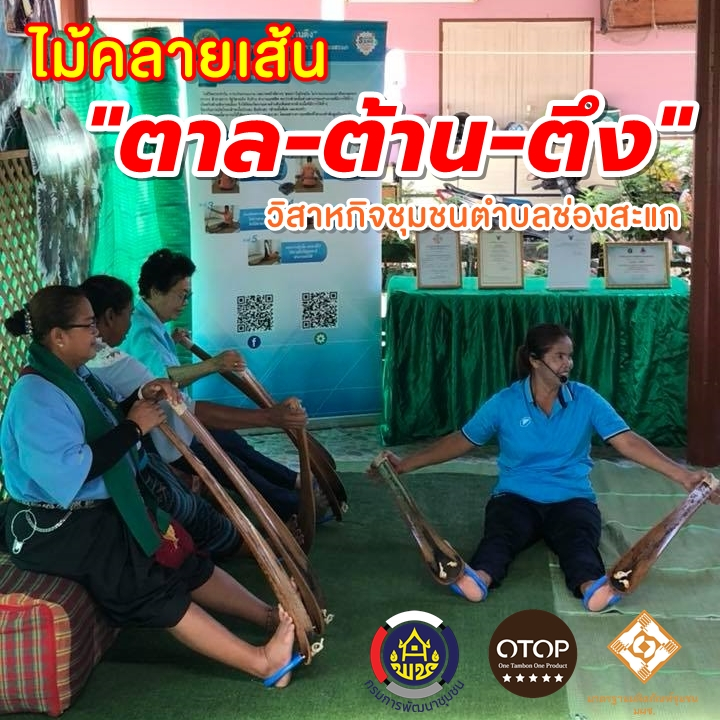 ตาลต้านตึง ไม้ตาลยืดเส้น ไม้คลายเส้น ไม้ยืดเส้น เอ็นตึง ก้านตาลคลายเส้น ไม้ตาลคลายเส้น ไม้ตาลดัดขา ไม้ดัดเท้า