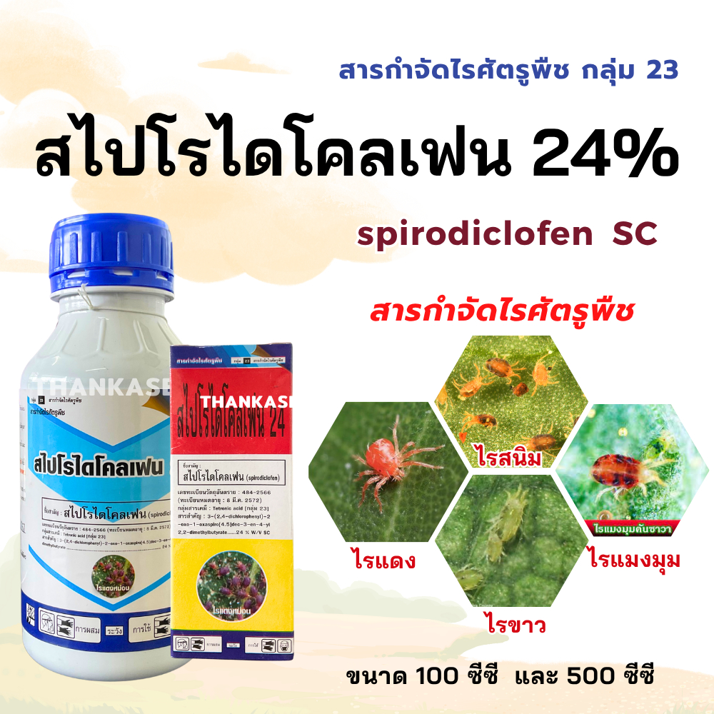 สไปโรไดโคลเฟน 24% SC กำจัด ไรแดง ไรสนิม ไรแมงมุม spirodiclofen ขนาด 100-500ซีซี