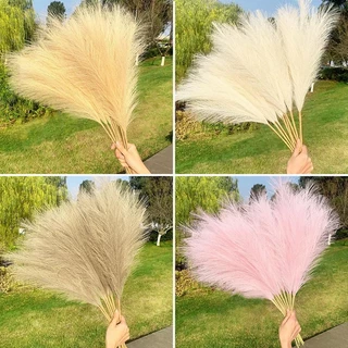 12pcs 56 ซม. ประดิษฐ์ Pampas Grass Nordic ปลอม Reed หญ้าพืชงานแต่งงานตกแต่งบ้านของขวัญวันสตรี