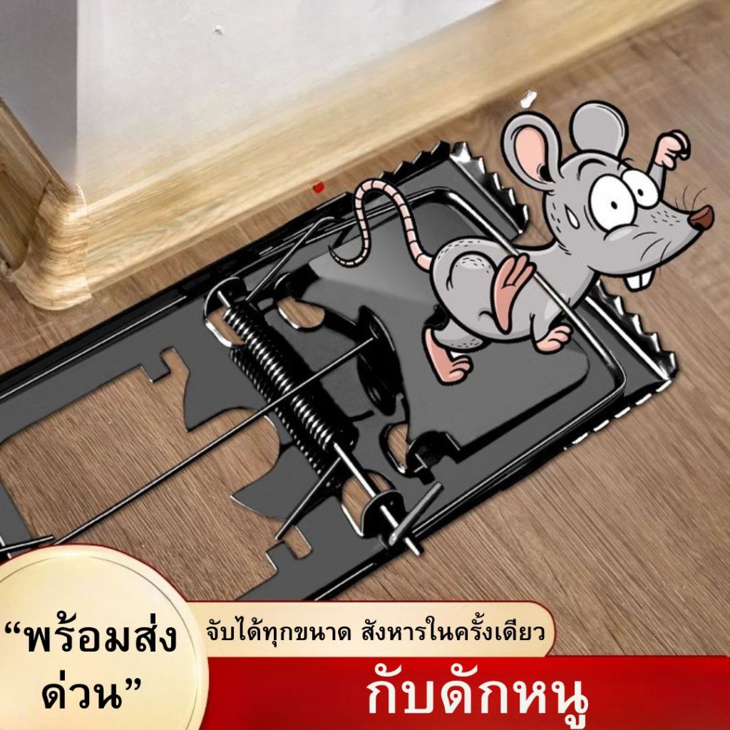 🧨พร้อมส่งด่วน 🧨 กับดักหนูเหล็กสปริงแรงดักไว จับอยู่หมัด! กับดักสัตว์