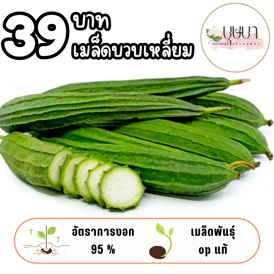 เมล็ดบวบเหลี่ยม 39บาท 100เมล็ด