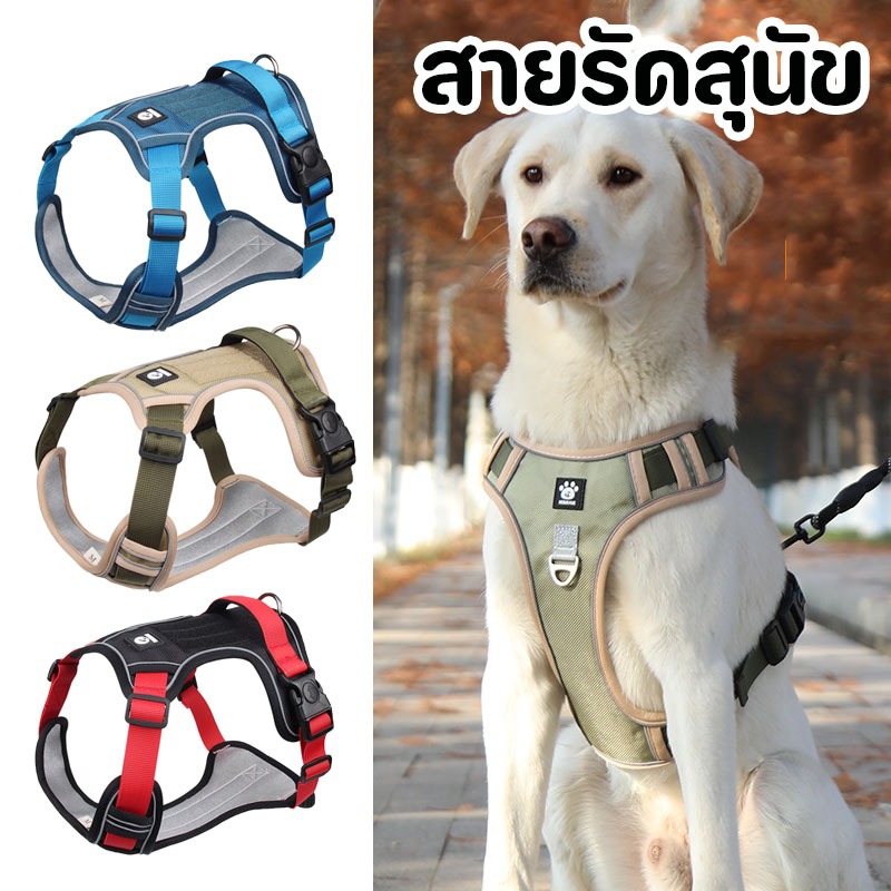 สายรัดสุนัข ระบายความร้อน สื้อกั๊กสะท้อนแสง ขนาดเล็ก และกลาง Dog Harness Cleverpet
