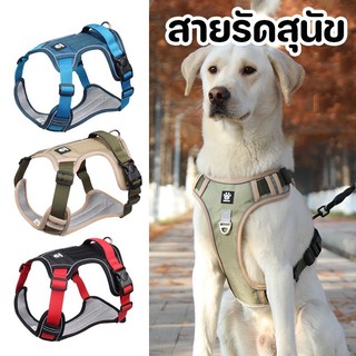 สายรัดสุนัข ระบายความร้อน สื้อกั๊กสะท้อนแสง ขนาดเล็ก และกลาง Dog Harness Cleverpet