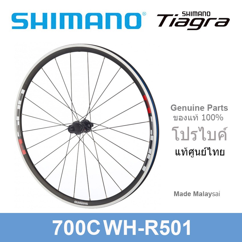 (ของแท้ศูนย์ไทย)ล้อจักรยานเสือหมอบ/ไฮบริด700c(622x15C) Shimano WH-R501F Rim Brake 20/24H - รูปที่ 3