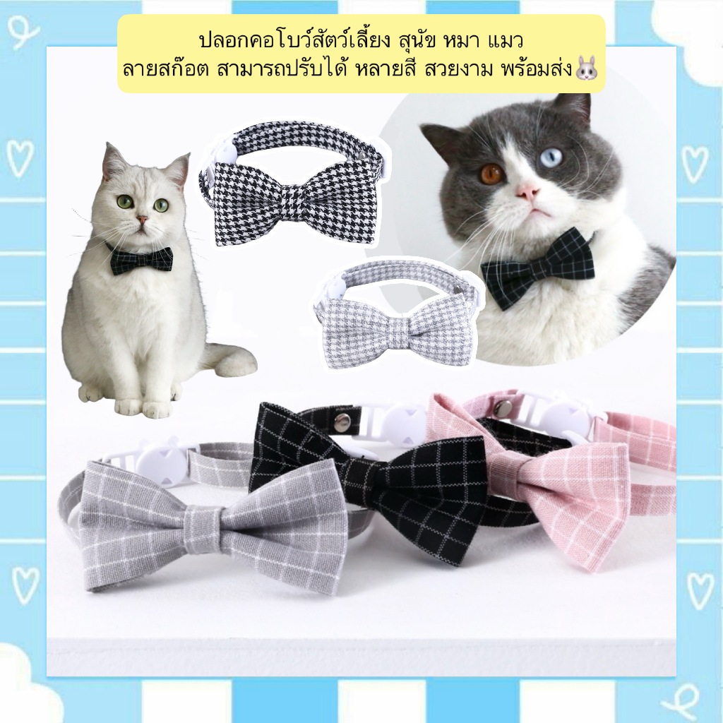 PP-1335 ปลอกคอพร้อมโบว์สำหรับสัตว์เลี้ยง ลายสก๊อตสุดน่ารัก ใส่ได้ทั้งสุนัขและแมว ปรับขนาดได้หลายระดับ มีหลายสีให้เลือก