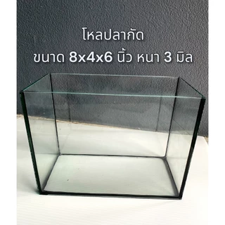 โหลปลากัด ขนาด 8x4x6นิ้ว กระจกหนา 3 มิลลิเมตร โหลปลากัด ตู้ปลาขนาดเล็ก (1ใบ)