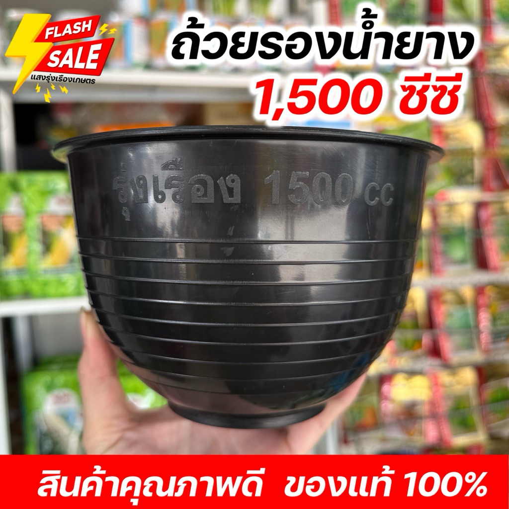 ถ้วยรองน้ำยางพารา 1.5 ลิตร คุณภาพดี ถ้วยใหญ่ หนา ทนดี ยางพารา ถ้วย