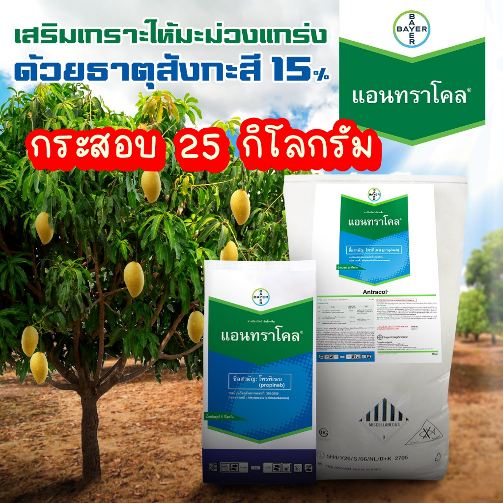 **กระสอบ25กิโลกรัม** ของแท้!! แอนทราโคล 25กก.(โพรพิเนบ) ป้องกันเชื้อราใบจุด ราน้ำค้าง แอนแทรคโนส ป้องกันและกำจัดโรคพืช