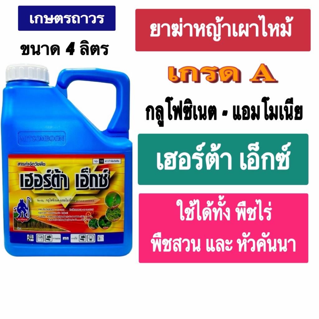 เฮอร์ต้าเอ็กซ์ 4 ลิตร สารกลูโฟซิเนตแอมโมเนียม ยาฆ่าหญ้าเผาไหม้ ยิ่งแดดจัด ยิ่งดินแห้ง หญ้ายิ่งตายดี