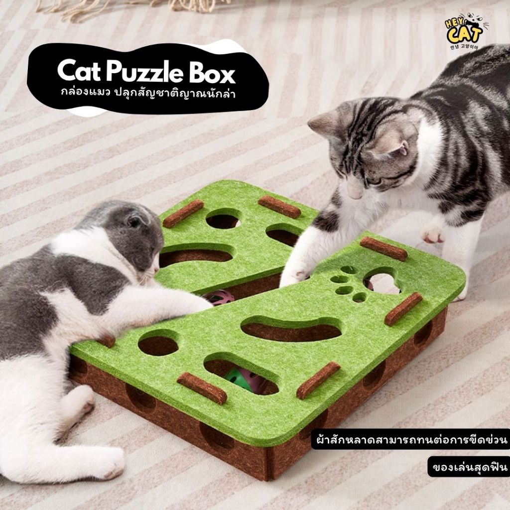 Heycat กล่องแมวเพลิดเพลิน ของเล่นแมว กล่องแมวหรรษา ของเล่นคลายเครียดแมว Size 30x30 Cm.