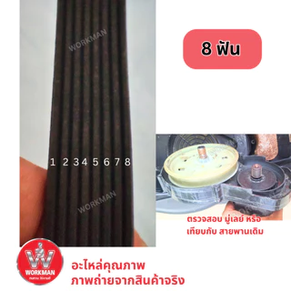 สายพาน รถเข็นตัดหญ้า ตัดหญ้าไฟฟ้า BLACK DECKER 1400w 6ร่อง 7ฟัน Belt Replacement part for BEMW461BH