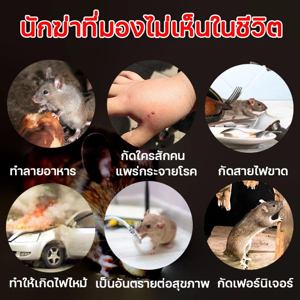 💥ปลอดหนูตลอดทั้งปี💥ยาเบื่อ หนู ตายไม่มีกลิ่นเหยื่อกำจัดหนู ยาเบื่อหนูแรง ยาเบื่อหนูเม็ด ฆ่าหนูในบ้าน  ยาเบื่อหนูบ้าน  ยา - รูปที่ 4