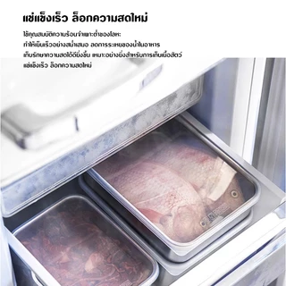 กล่องเก็บอาหารในตู้เย็น สเตนเลส 600 มล. พร้อมฝาปิดพลาสติก เตรียมความสดอาหาร กล่องปิกนิก