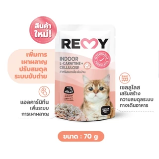 Remy อาหารเปียกแมว [48 ซอง] สูตรดูแลสุขภาพ ไม่เติมเกลือ ขนาด 70 กรัม
