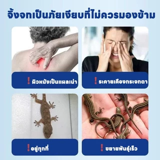 🦎100 เมตรไร้จิ้งจกครับ🦎SKy ยาฆ่าจิ้งจก ยาฆ่าตุ๊กแก ยาไล่จิ้งจก ไล่จิ้งจก ยาจิ้งจก ไล่ตุ๊กแก ฆ่าจิ้งจกมีประสิทธิภาพ
