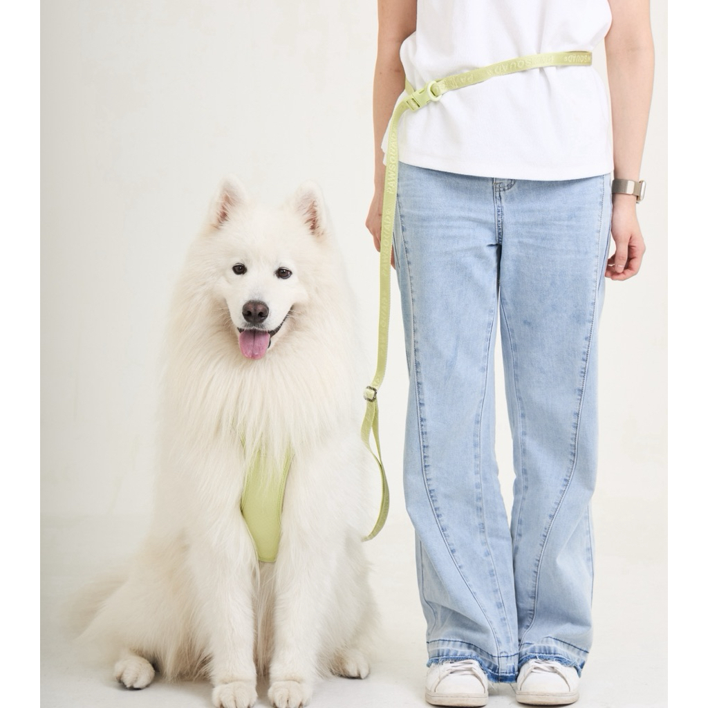 PAWSQUAD Basics Harness Set (Lime Sorbet) 🍋💚 | เซ็ตชุดรัดอก สุนัข แมว 3 ตะขอ ใส่ง่าย กระชับทุกส่วน