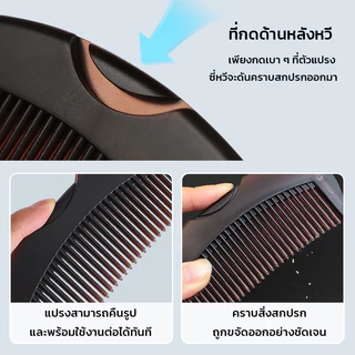 GRAREY แปรงหวีผมขจัดรังแค รุ่น D4 (หวีซี่กลวง ดูดซับความมัน รังแค สิ่งสกปรกบนศีรษะ ป้องกันไฟฟ้าสถิต)