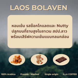เมล็ดกาแฟ ลาวโบลาเวน (Laos bolaven) คั่วกลาง, คั่วเข้ม | โทนช็อกโกแลต นุ่ม ดื่มง่าย เหมาะทั้งกาแฟดำและนม ตัวเดียวจบ