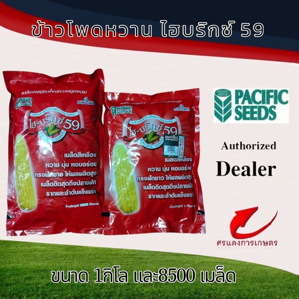 ข้าวโพดหวานไฮบริกซ์ 59  1 กิโลกรัม 8500 เมล็ด