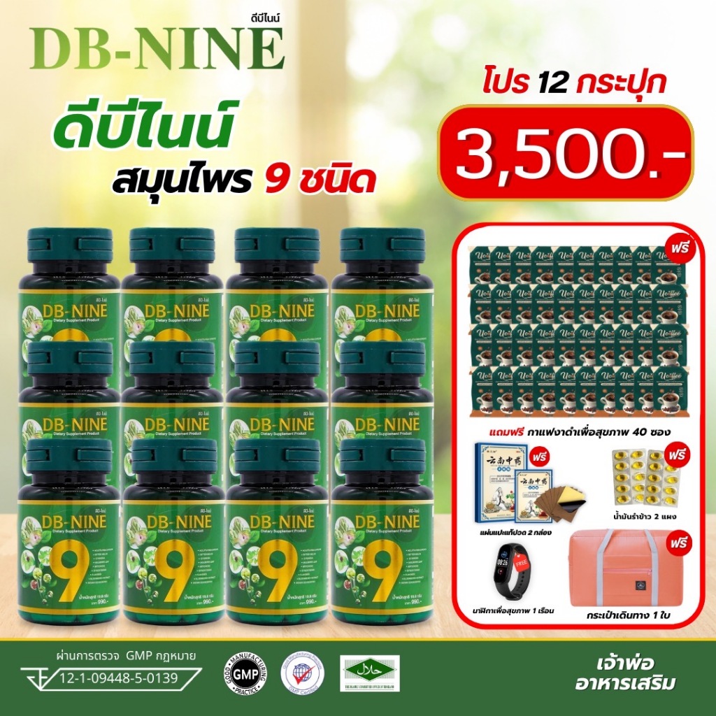 (ส่งฟรี!!มีส่วนลด200.-)ดีบีไนน์ DB-NINE อาหารเสริม เบาหวาน ความดัน น้ำตาลในเลือด(12กระปุกแถม2กระปุก)