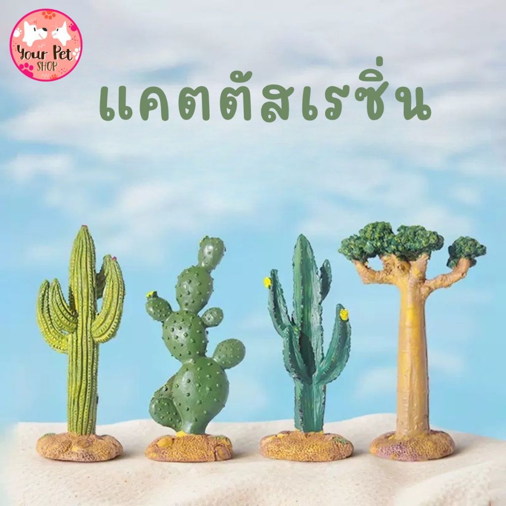 แคตตัสเรซิ่น แต่งตู้ปลา โหลปลา แต่งบ้าน Fish กุ้ง สัตว์น้ำ