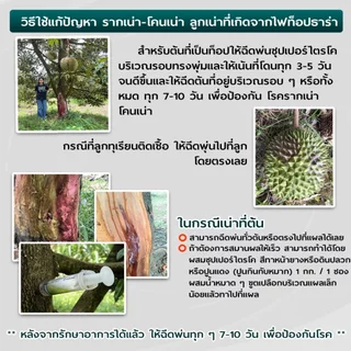 ไตรโคเดอร์มา ซุปเปอร์ไตรโค ไตรโคเดอร์มาผง (500 กรัม) ชีวภัณฑ์ ป้องกันและกำจัดเชื้อราโรคพืช รากเน่า โคนเน่า ปลอดภัย100%