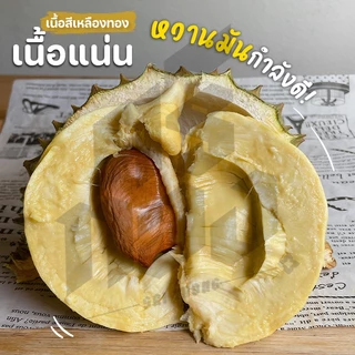 📌ทุเรียนหมอนทอง จันทบุรี ตัดแก่จากสวน เนื้อแน่นทุกพู พร้อมวิดีโอชั่งน้ำหนักจริงทุกลูก! ศรีทอง bearbakery