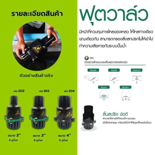 หัวกระโหลกดูดน้ำ ฟุตวาล์วสวมสายดูด หัวดูดน้ำ2นิ้ว หัวดูดน้ำ3นิ้ว หัวดูดน้ำ4นิ้ว หัวกระโหลกท่อดูด ลิ้นสปริง หัวสูบน้ำ