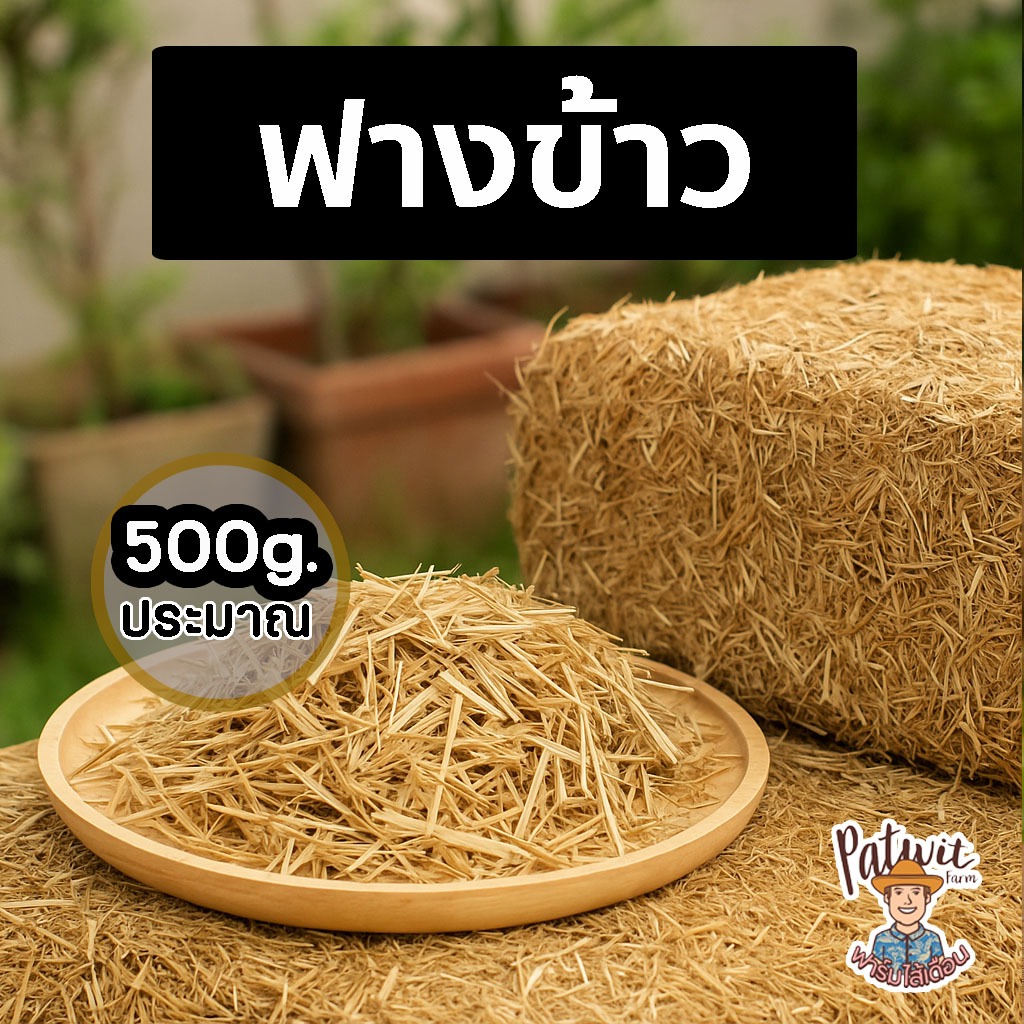 (2ถุง50ใช้โค้ดส่งฟรี) ฟางข้าว RICE STRAW ถุงใหญ่ น้ำหนักเบา ขนาดประมาณ 500 กรัม เพาะเห็ดฟาง คลุมดิน อาหารสัตว์ แห้งสนิท