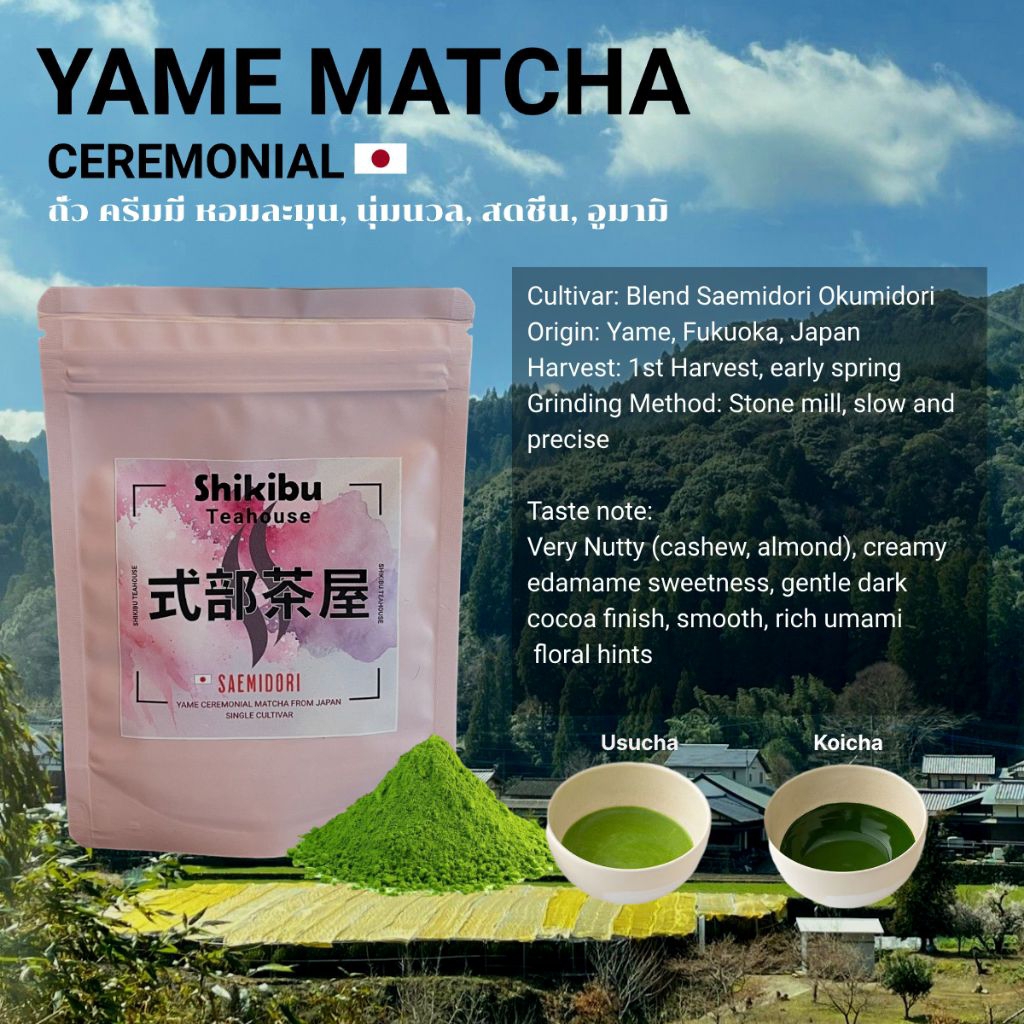 Yame matcha "Saemidori" ผงมัทฉะญี่ปุ่น เกรดพิธี | Matcha ceremonial grade