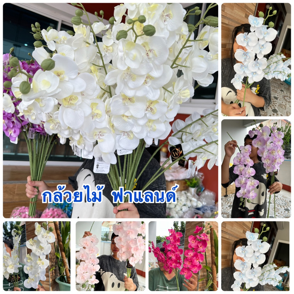 กล้วยไม้ ฟาแลนด์ กล้วยไม้ประดิษฐ์ กล้วยไม้ผ้าอย่างดี ก้านยาว กล้วยไม้อย่างดี กล้วยไม้ปลอม