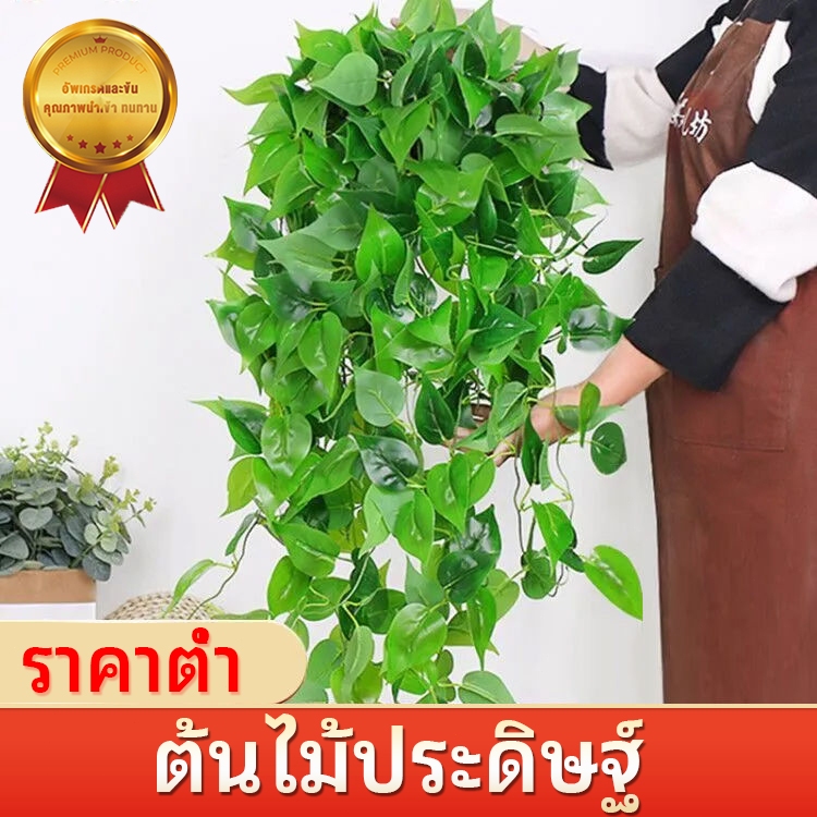 ประดิษฐ์แขวนผนังพืชสีเขียวใบดอกไม้ตกแต่งบอนไซบ้านโรงแรมพรรค