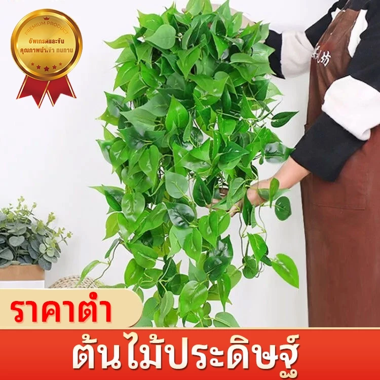 ประดิษฐ์แขวนผนังพืชสีเขียวใบดอกไม้ตกแต่งบอนไซบ้านโรงแรมพรรค