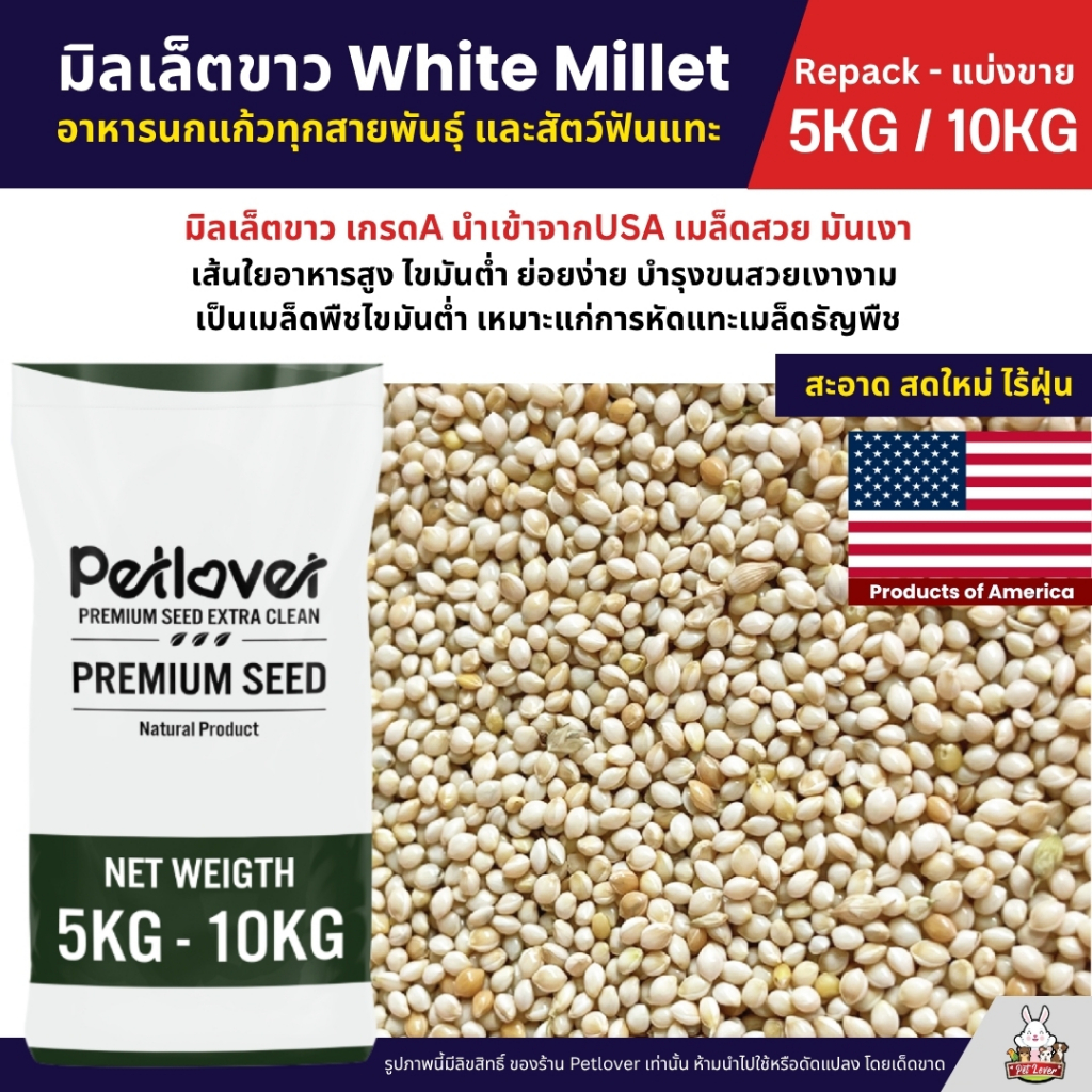 (5KG/10KG) มิลเล็ตขาว White Millet เกรด A อาหารนกแก้ว และสัตว์ฟันแทะ ใหม่ สด สะอาด ร่อนฝุ่นทุกถุง