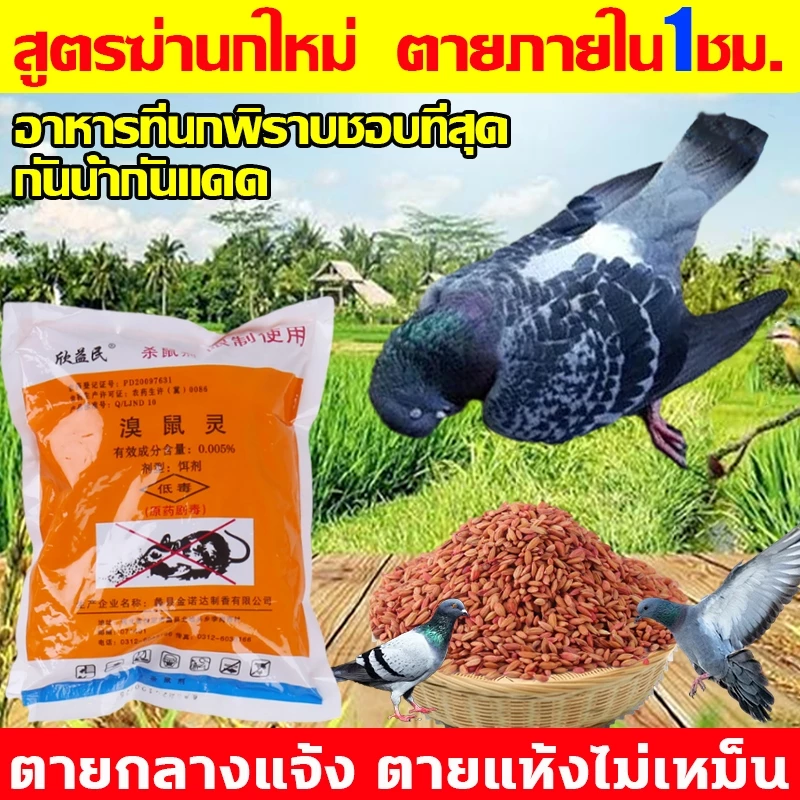 🕊️เห็นผลชัวร์100%🐦ยาเบื่อ นกพิราบ 500g ยาฆ่านกพิราบ ทำลายอวัยวะภายในตายใน 1ชม. แห้งเร็วและไม่มีกลิ่น ยากำจัดนกพิราบ