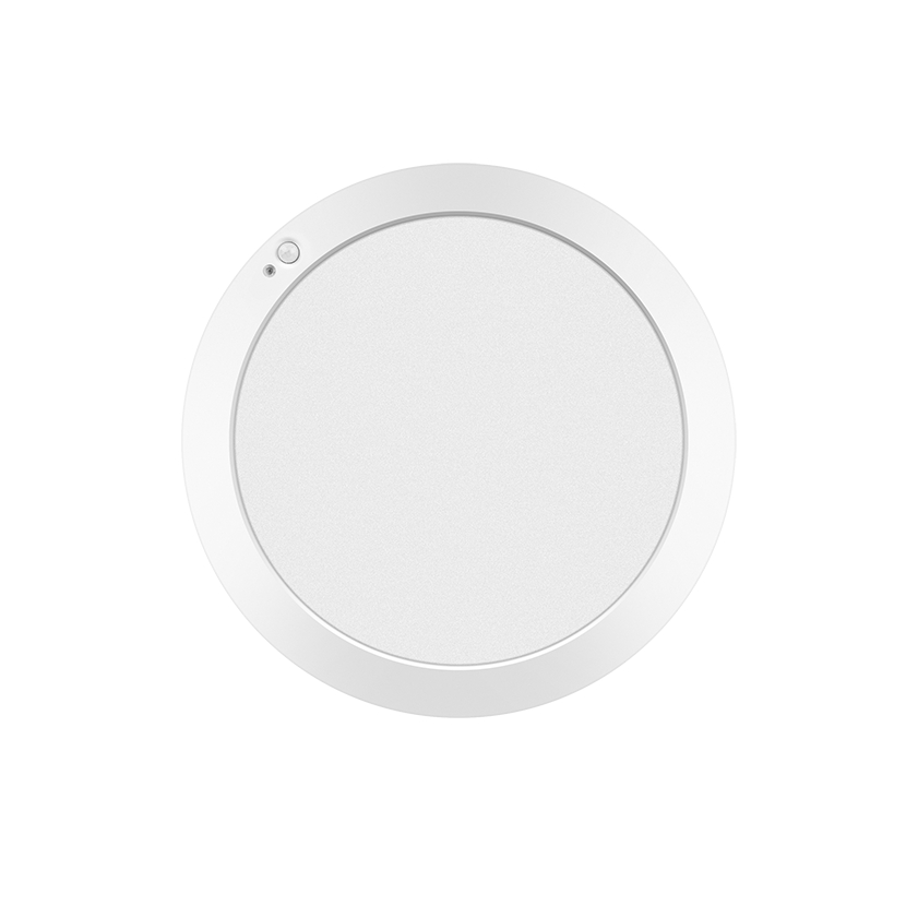 Luminance PIR Motion Sensor