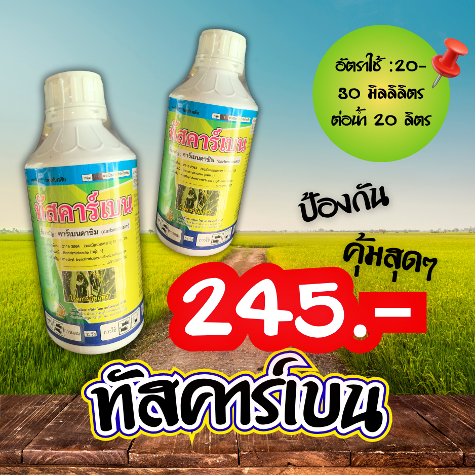 แอ็กเบนเอฟ (ขวดเหลือง สูตรพิเศษ) ขนาด 1 ลิตร คาร์เบนดาซิม 50% SC (carbendazim 50%SC) ยาเชื้อรา