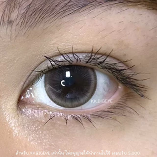 Da nang Gray-Brown น้ำตาละมุนธรรมชาติหวานๆ กลางๆ คอนแทคเลนส์