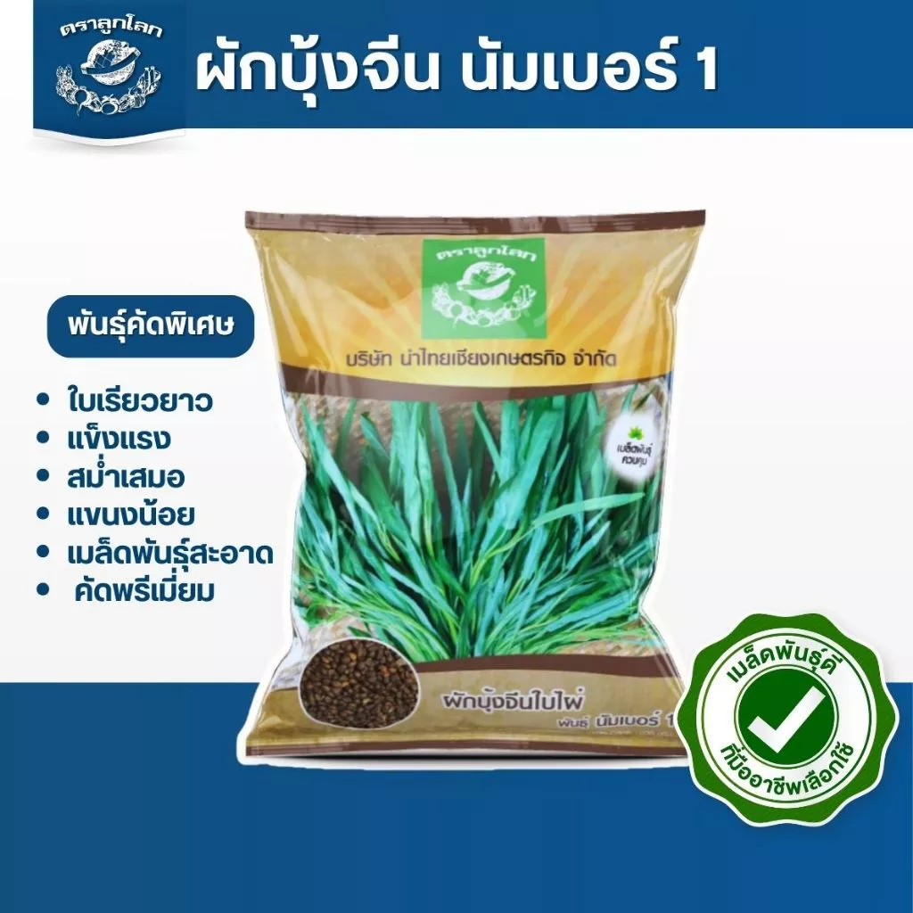 ตราลูกโลก เมล็ดผักบุ้งนัมเบอร์วัน ขนาด 1000 กรัม Morning glory เมล็ดพันธุ์ผัก ผักสวนครัว ผักซอง