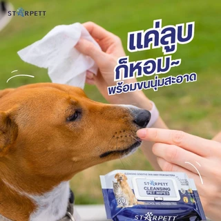 Starpett Cleansing Wipes ทิชชู่เปียกสำหรับสุนัข แมว และสัตว์เลี้ยงขนาดเล็ก ขนาด 80 แผ่น (แพ็ค 3 ชิ้น)