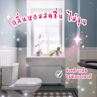 [โรงงานขายเอง] Mr.Clean น้ำยาทำความสะอาดห้องน้ำ ดับกลิ่น ขจัดคราบฝังแน่น กลิ่นไม่ฉุน