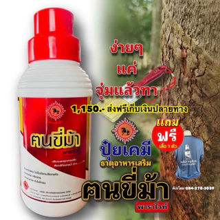 ฅนขี่ม้าพาราไวท์ขนาด 1 ลิตร By ดีเจโดม นาทวี แถมแปลง 1 อัน เสื้อ 1 ตัว (ดีเจโดม นาทวี รับประกันของแท้ 100 %)