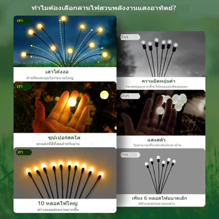 ไฟหิ่งห้อยโซล่าเซลล์ 6/8/10/12LED กันน้ำ IP65 โคมไฟแต่งสวนกลางแจ้ง เหมาะงานเลี้ยง สงกรานต์ ปีใหม่