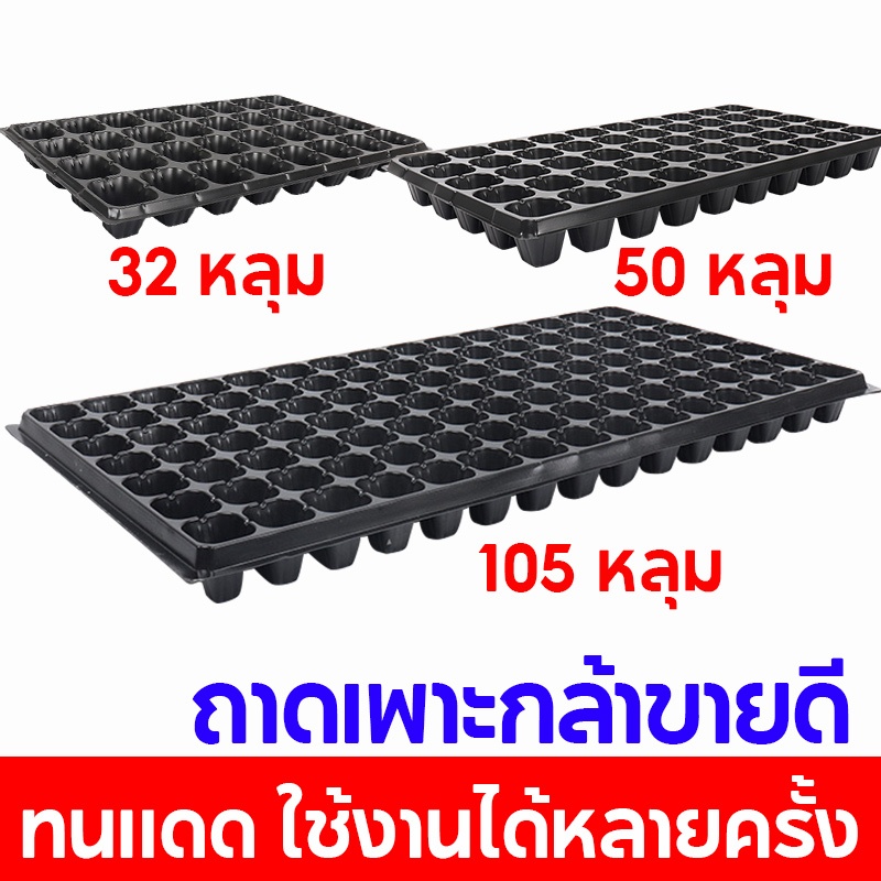 ถาดเพาะกล้า ถาดเพาะชำ ถาดเพาะเมล็ด ต้นอ่อน เมล็ด ไฮโดร 32,50,105หลุม
